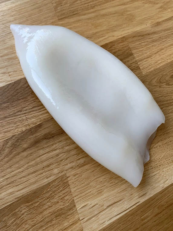 SquidTubeB_1024x1xvcv024.jpg